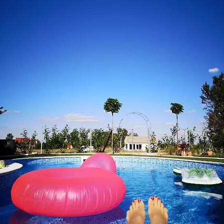 Holiday home Vital Hegyko